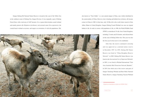 保護生物多樣性丨醫藥領域的技術開發 中觀自然啟示與雙語深讀