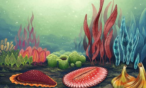 古氧濃度與單細胞生物體型的關系及其在現代醫藥技術中的啟示