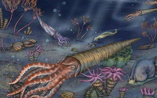 泥盆紀(jì)化石寶庫(kù)重現(xiàn)貴州，83種遠(yuǎn)古海洋生物揭示生命演化與醫(yī)藥研發(fā)新曙光
