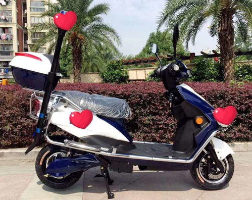 電動兩輪代步車 物業(yè)小區(qū)、廠區(qū)與公園的理想選擇